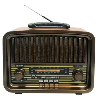 رادیو گولون مدل Rx-BT929 - بدون پنل خورشیدی